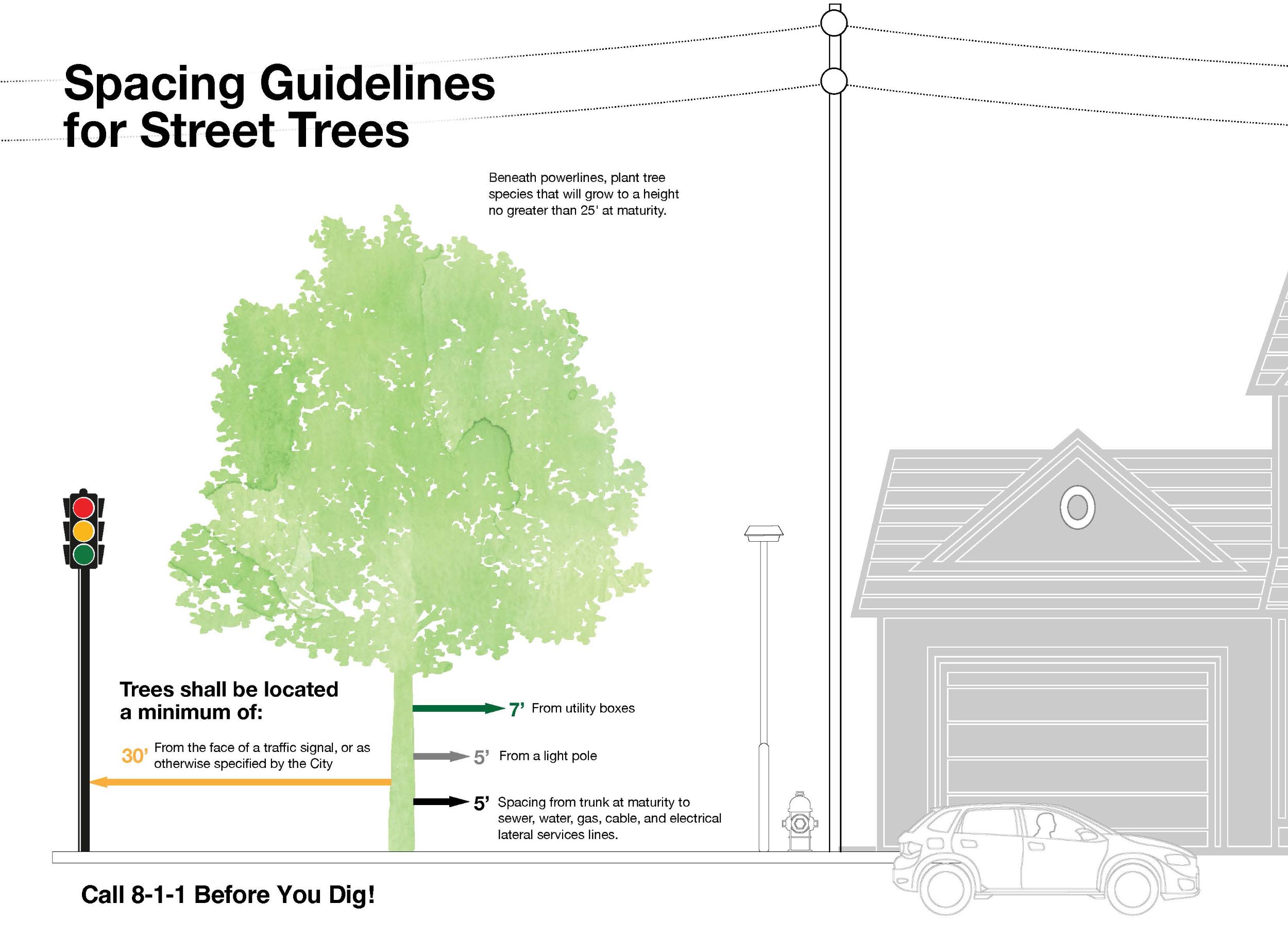 An illustrated guide titled 'Spacing Guidelines for Street Trees'. The image provides information on the minimum distances that trees should be planted from various street elements. Key guidelines include: